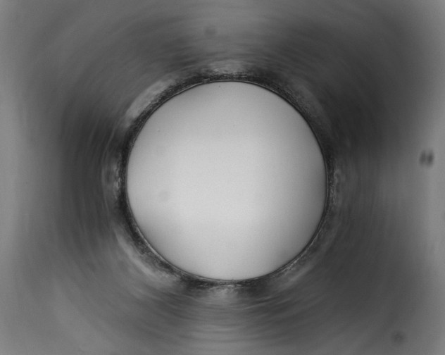 X0000115240116200911201629