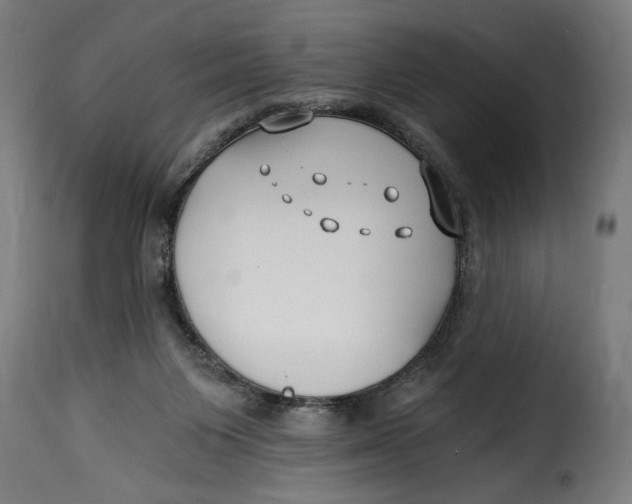 X0000115240119200911201629