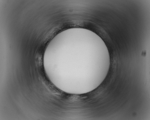 X0000115240123200911201629