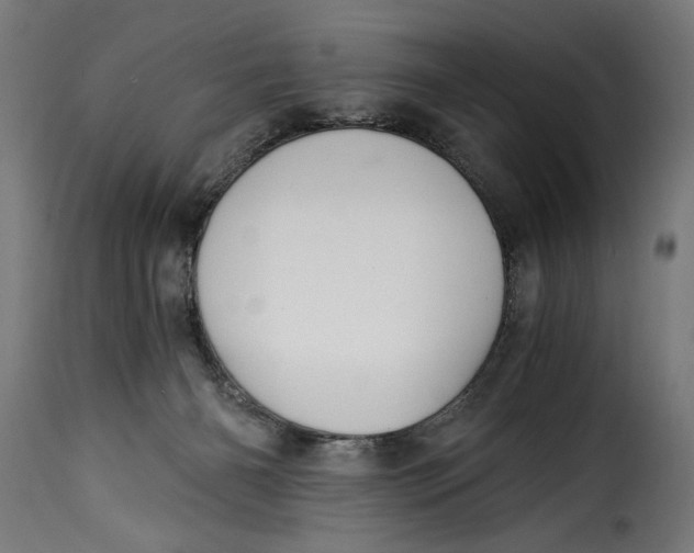 X0000115240126200911201629