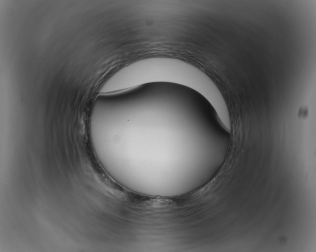 X0000115240128200911201629
