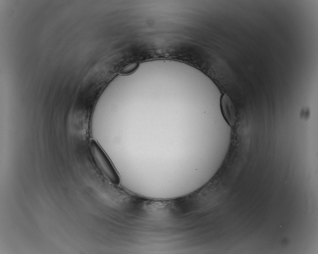 X0000115240129200911201629