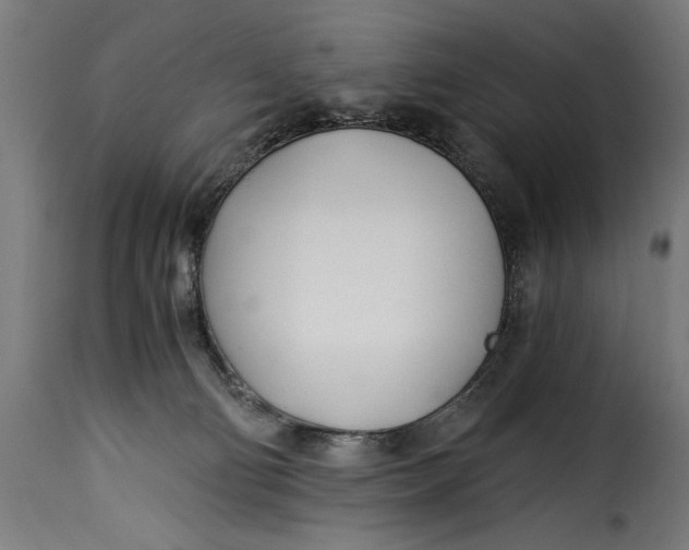 X0000115240130200911201629