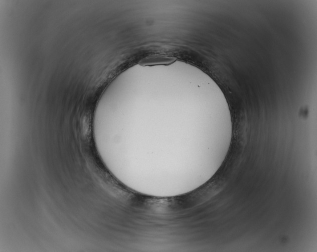 X0000115240131200911201629