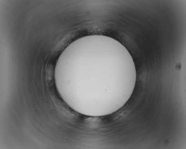 X0000115240133200911201629
