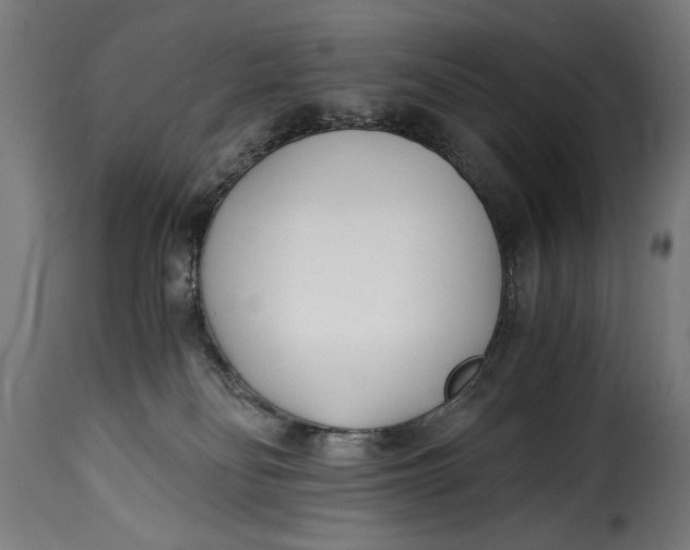 X0000115240134200911201629