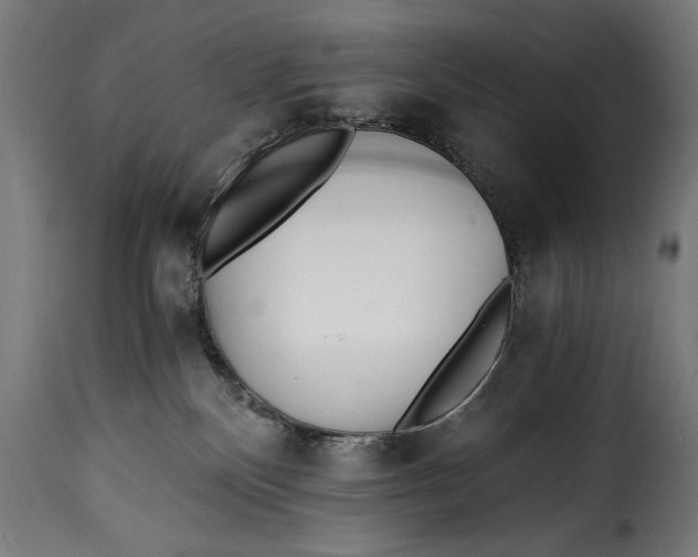 X0000115240136200911201629