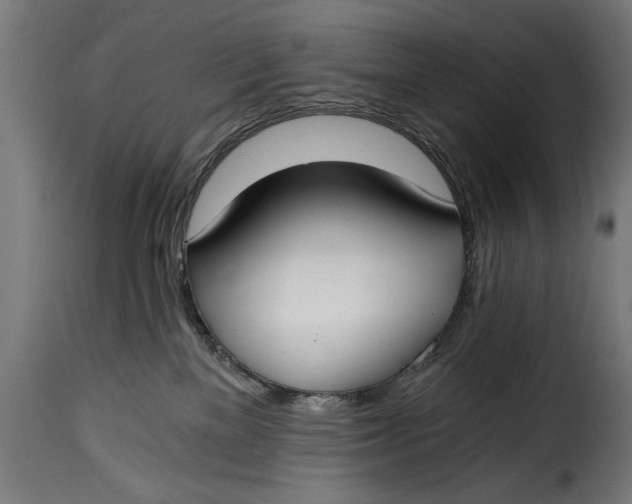 X0000115240137200911201629
