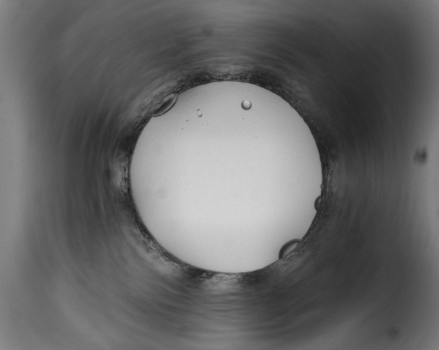 X0000115240138200911201629