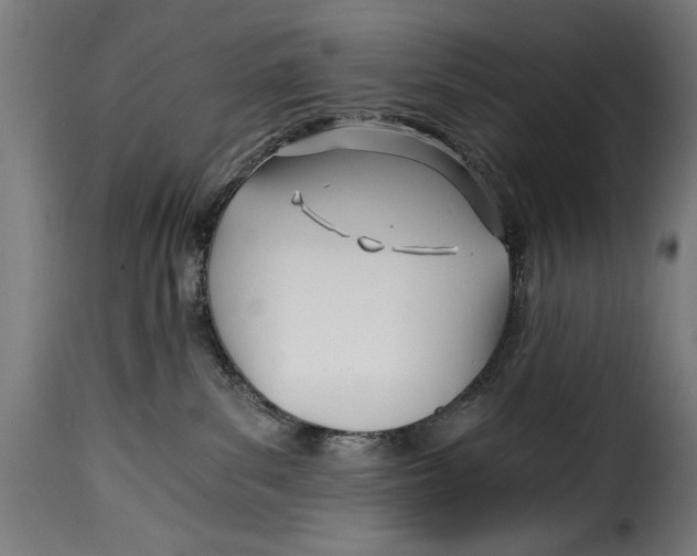 X0000115240139200911201629