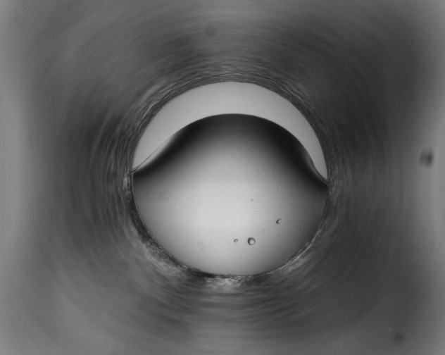 X0000115240140200911201629