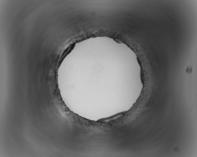 X0000115240144200911201628