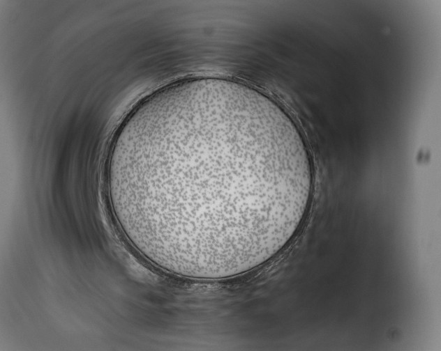 X0000115240145200911201628
