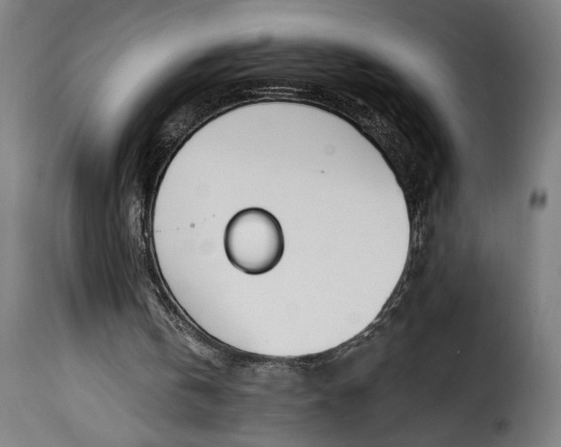 X0000115240146200911201628