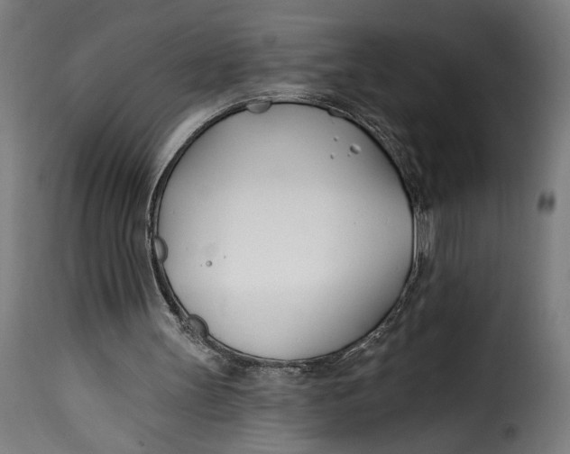 X0000115240147200911201628