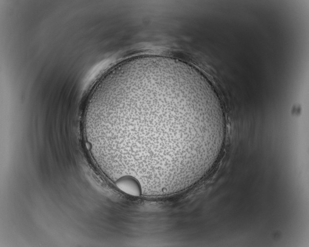 X0000115240149200911201628