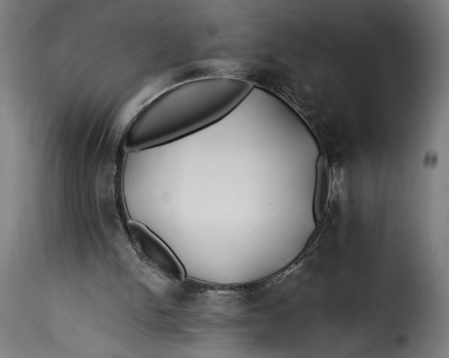 X0000115240150200911201628