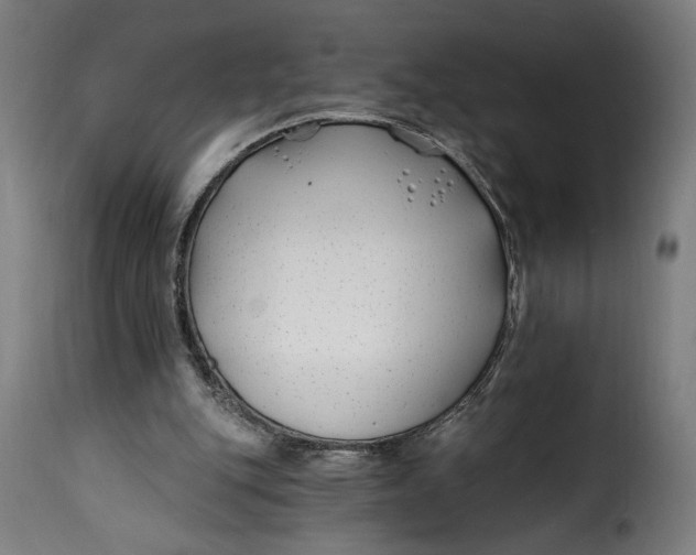 X0000115240151200911201628