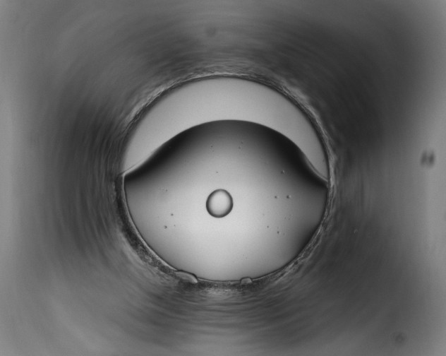X0000115240154200911201628