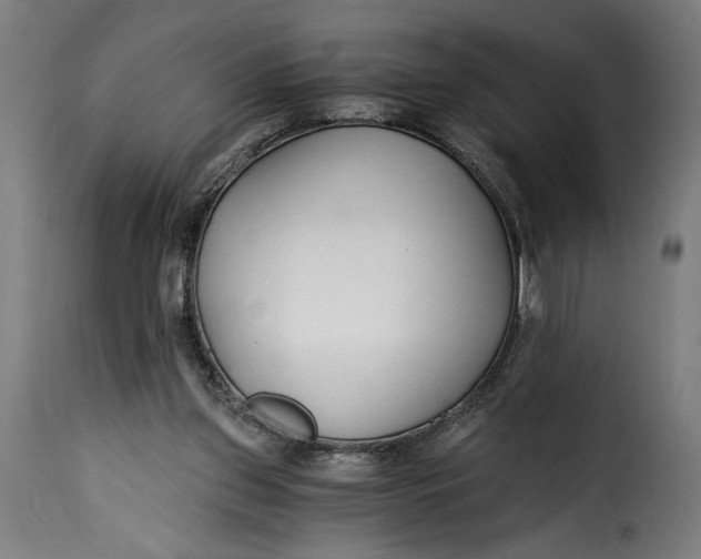 X0000115240157200911201628