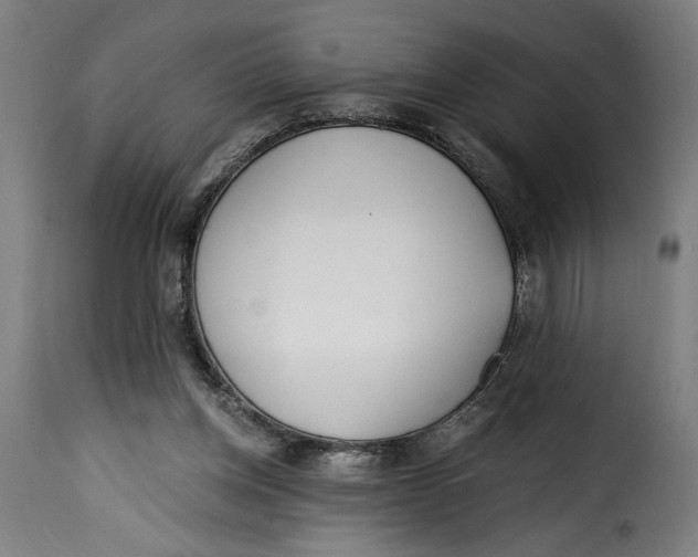 X0000115240158200911201628