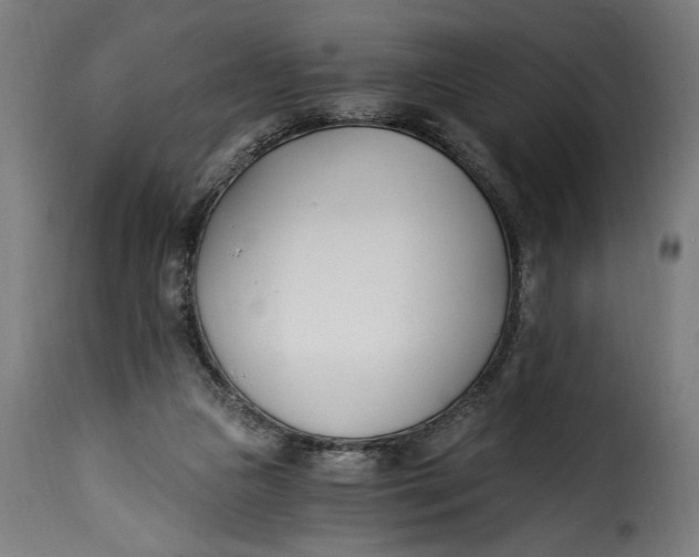 X0000115240161200911201628