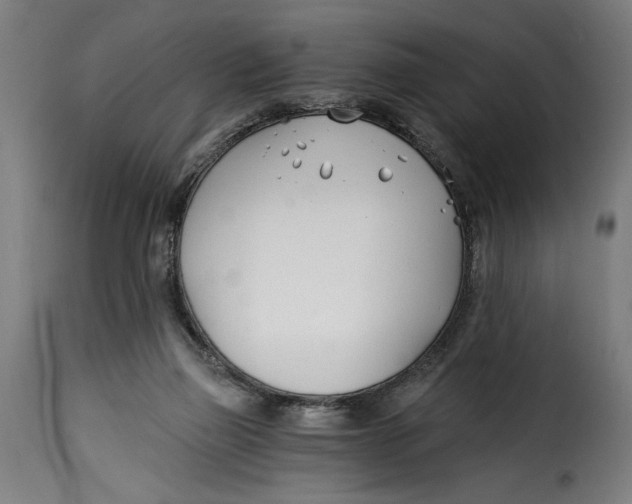 X0000115240165200911201628