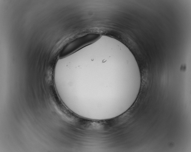 X0000115240166200911201628