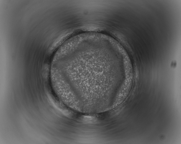 X0000115240167200911201628