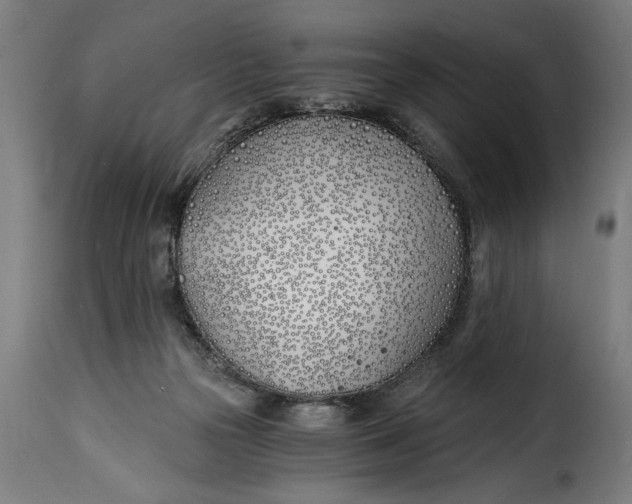 X0000115240169200911201628
