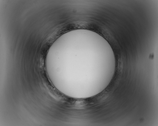 X0000115240173200911201628