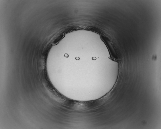X0000115240174200911201628