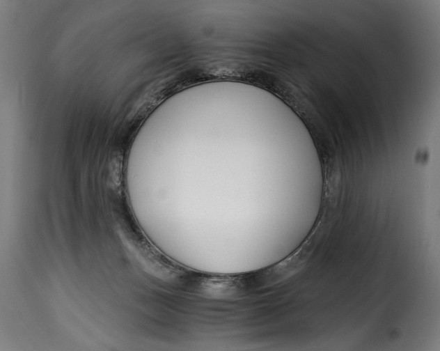 X0000115240175200911201628