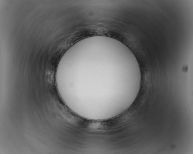 X0000115240177200911201628