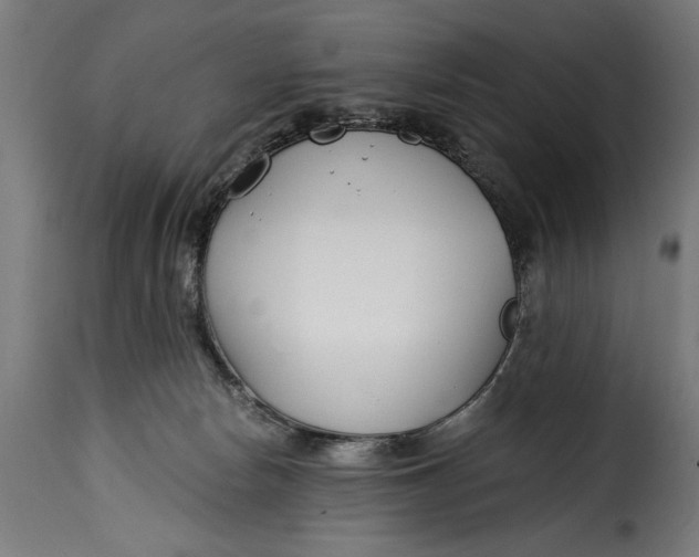 X0000115240178200911201628