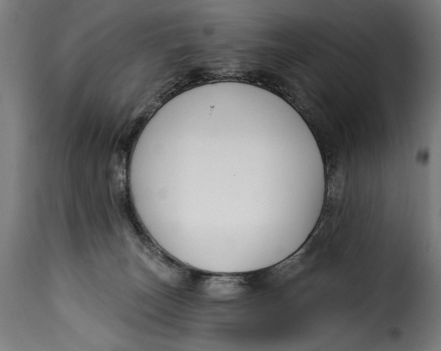 X0000115240179200911201628