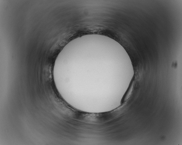 X0000115240182200911201628