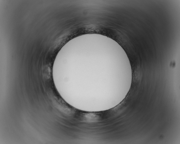 X0000115240183200911201628