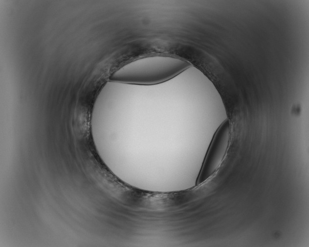 X0000115240186200911201628