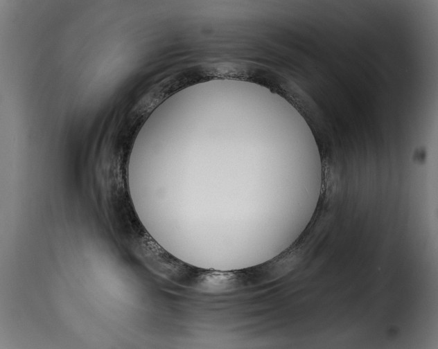 X0000115240189200911201628