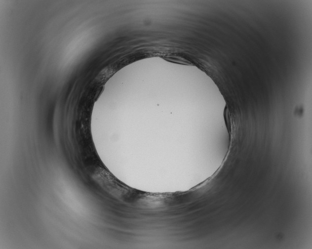 X0000115240190200911201628