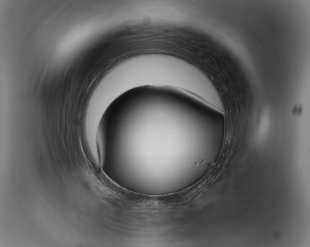 X0000115240195200911201628