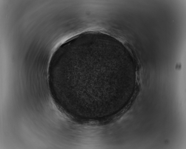 X0000115240196200911201628