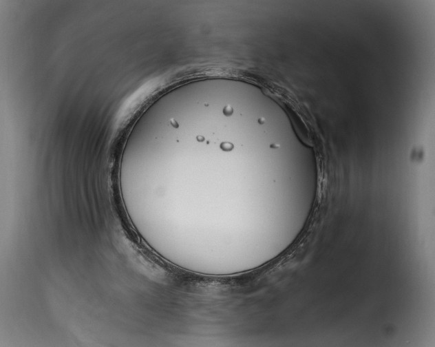 X0000115240197200911201628
