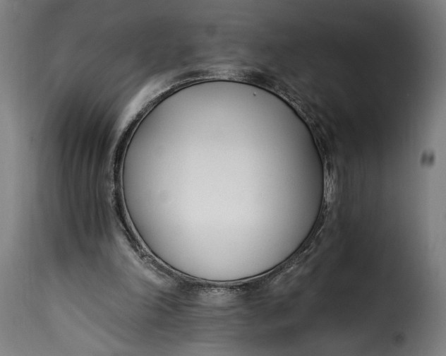 X0000115240198200911201628
