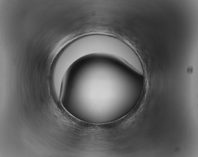X0000115240199200911201628