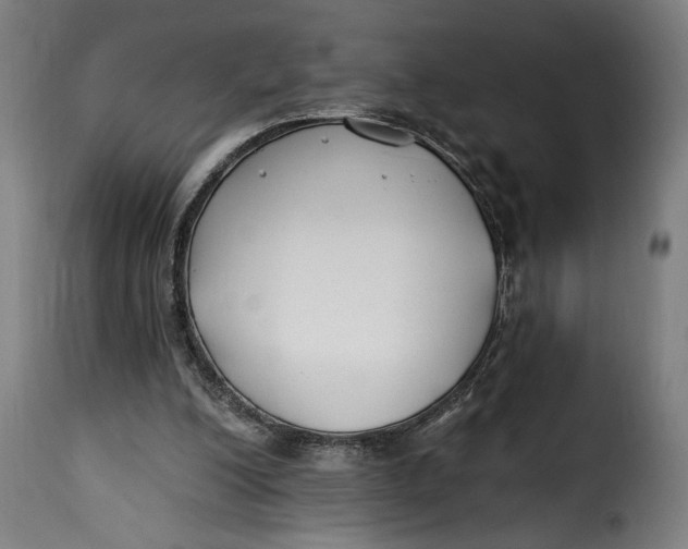 X0000115240200200911201628