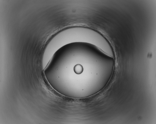 X0000115240201200911201628