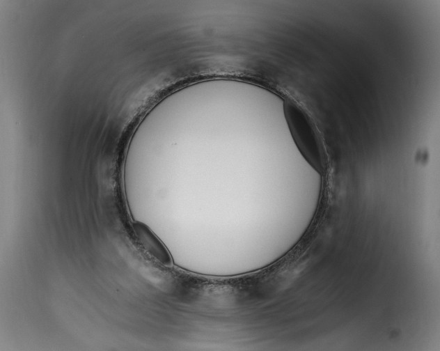 X0000115240203200911201627