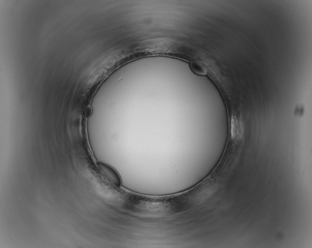 X0000115240205200911201627